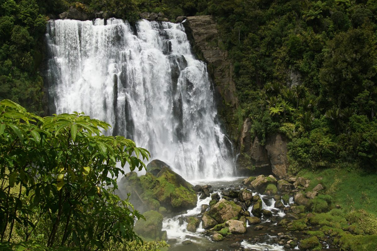 Auf dem Weg von Waitamo Caves nach Kawhia Mokopa Falls