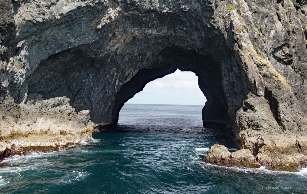hole in the rock - Bay of Islands Neuseeland