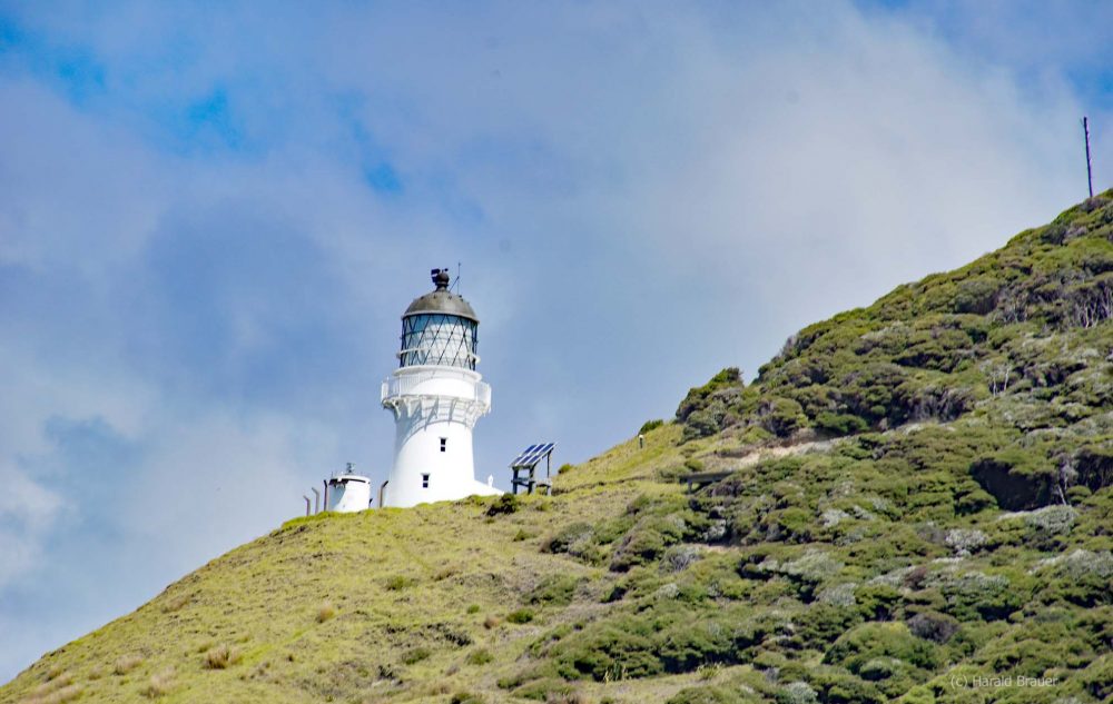 Lighthouse Bay of Islands Neuseeland