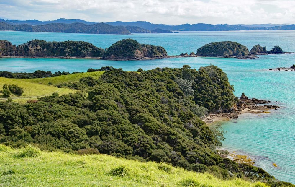 Urupukapuka Island - Bay of Islands Neuseeland