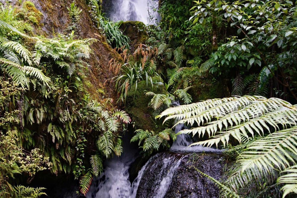 Wasserfall im Burried Valley