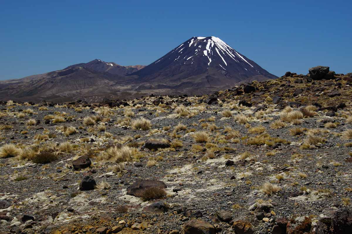Mt Tongariro und Mt Ngauruhoe